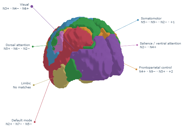 Cortical network visualization with labeled functional systems.